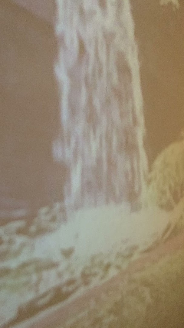 Il Nuovo Ruscello: Estetica Avanzata, Solarium, Grotta di Sale. · Foto 9